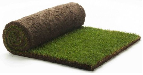 turf